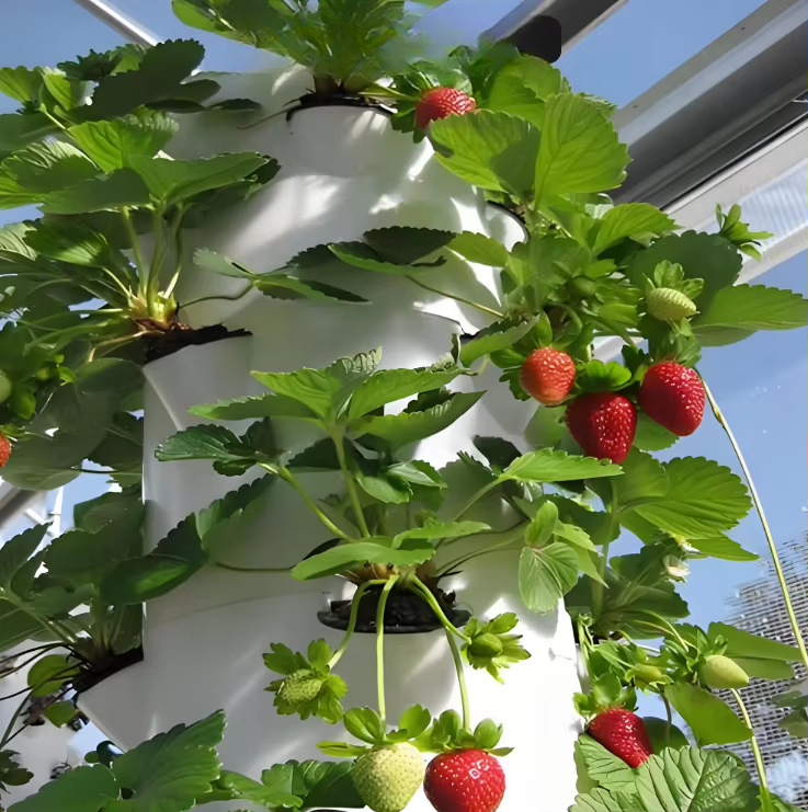 Modular hydroponic growth wall - Urban Farming Garden recension och pris
