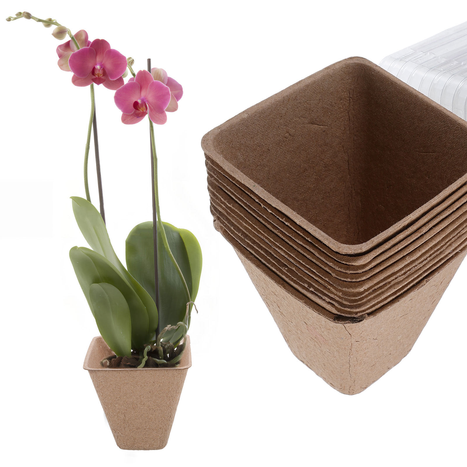 10Pcs Sustainable Seedling Sta - Dome Propagation Kit recension och pris
